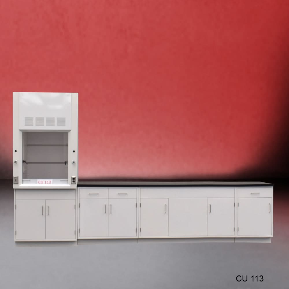 3′ Fisher American Fume Hood w/ 10′ Cabinets & General Storage