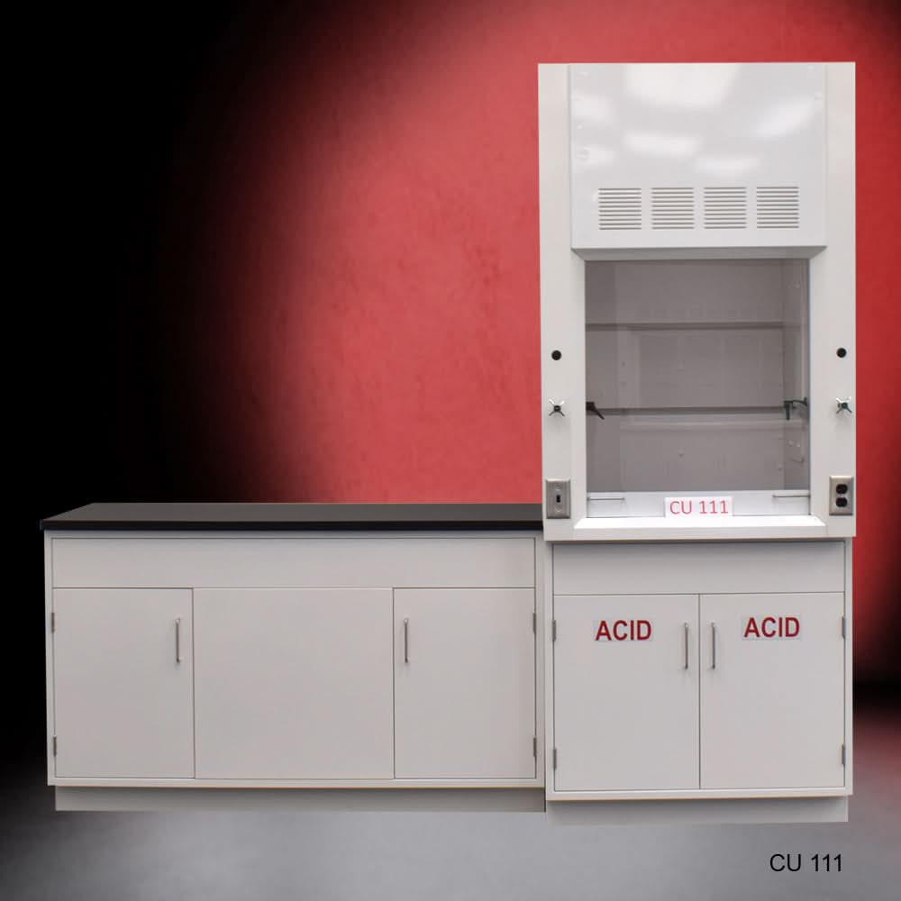 3′ Fisher American Fume Hood w/ 5′ Cabinets & Acid & General Storage