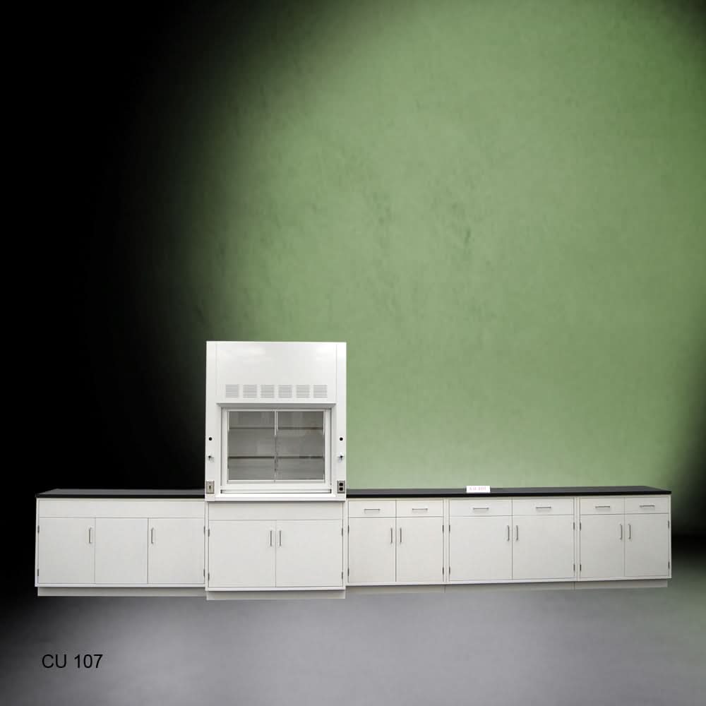 4′ Fisher American Fume Hood w/ Storage 15′ Laboratory Cabinet Group