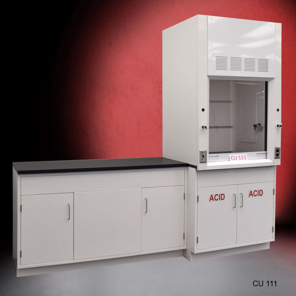 3′ Fisher American Fume Hood w/ 5′ Cabinets & Acid & General Storage