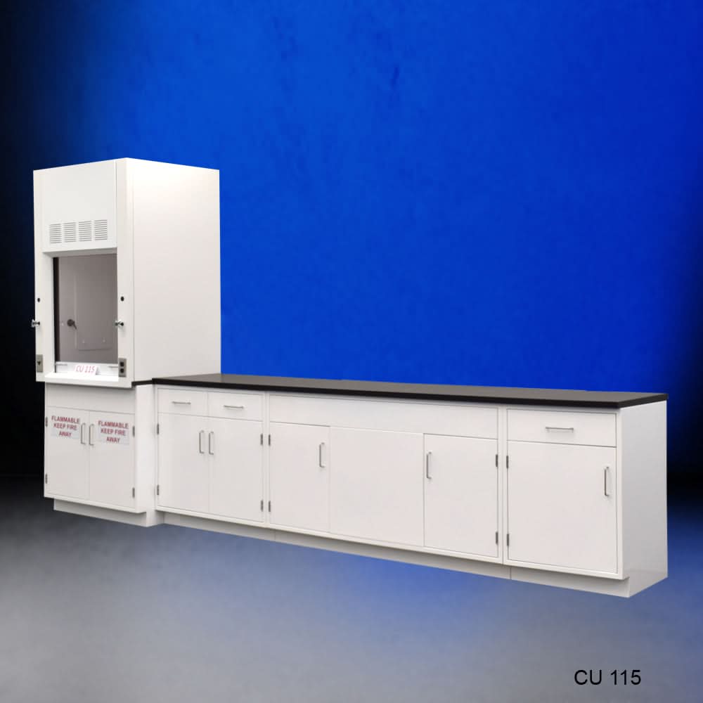 3′ Fisher American Fume Hood w/ 10′ Cabinets