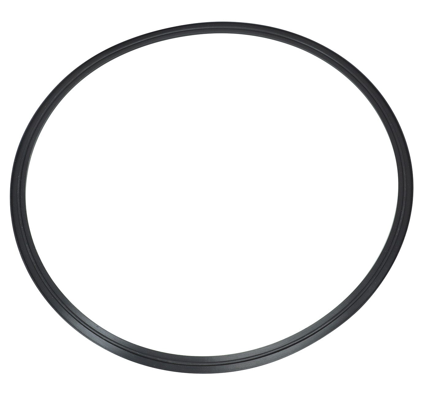 FKM Viton Tri-Clamp Gaskets