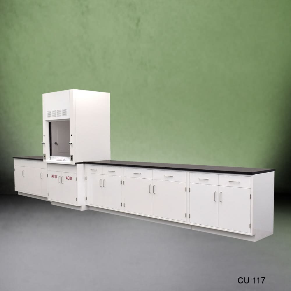 3ā² Fisher American Fume Hood w/ 15ā² Cabinets & Acid Storage