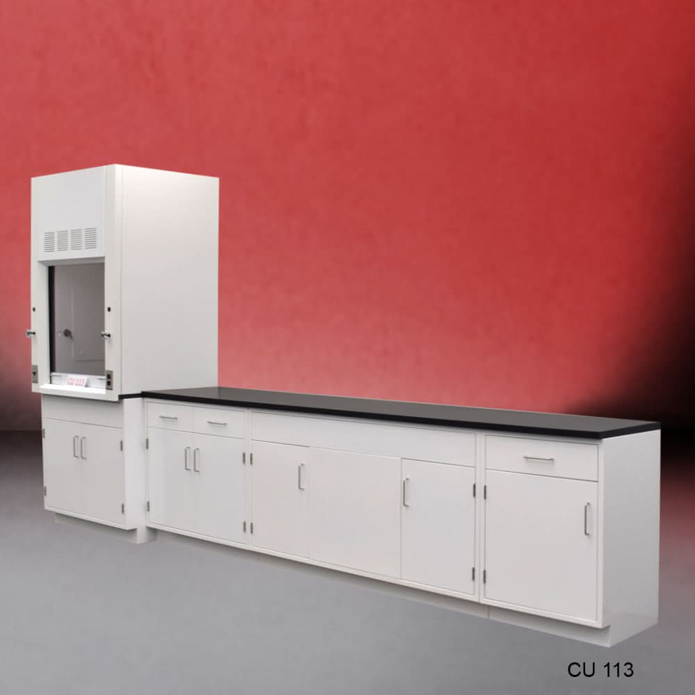 3′ Fisher American Fume Hood w/ 10′ Cabinets & General Storage