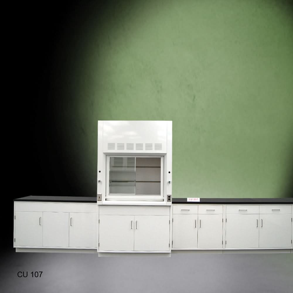 4ā² Fisher American Fume Hood w/ Storage 15ā² Laboratory Cabinet Group