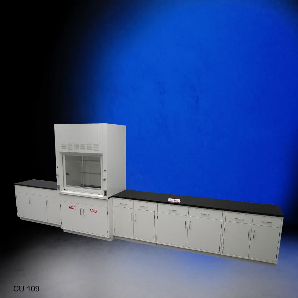 4ā² Fisher American Fume Hood w/ Acid Storage & 15ā² Cabinets