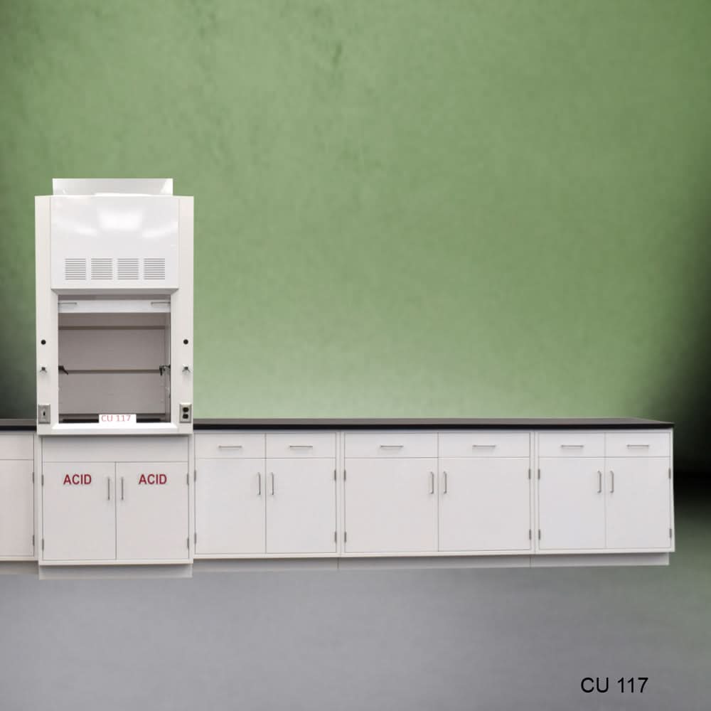 3ā² Fisher American Fume Hood w/ 15ā² Cabinets & Acid Storage