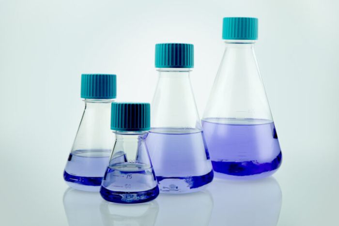 NEST Erlenmeyer Flask