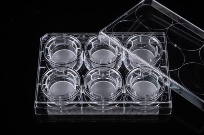 NEST Cell Culture Inserts, Non-treated, PC Memberane