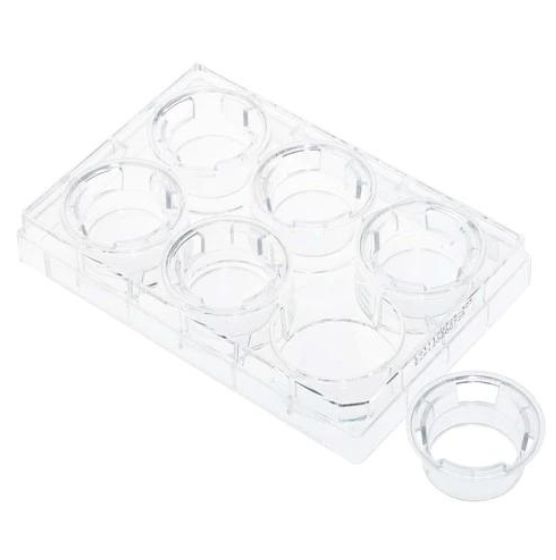 NEST Cell Culture Inserts, Tissue Culture Treated, PC Memberane