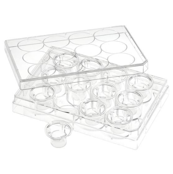 NEST Cell Culture Inserts, Tissue Culture Treated, PET Memberane