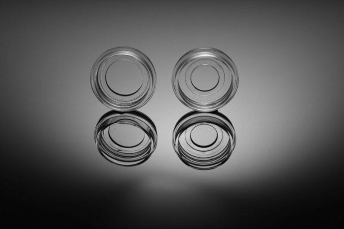 NEST Cell Culture Dishes\/ Plates Glass Bottom