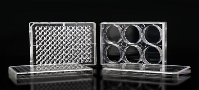 NEST Cell Culture Inserts, Tissue Culture Treated, PC Memberane