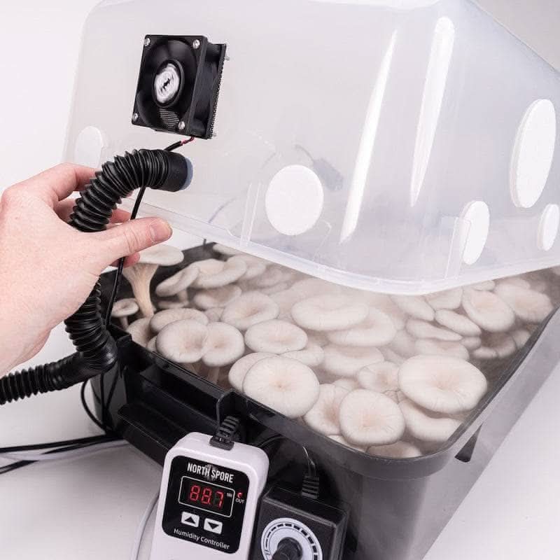 Automated 'Boomr Bin' + CVG Monotub Mushroom Grow Kit