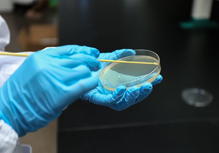 NEST Bacterial Culture Petri Dishes