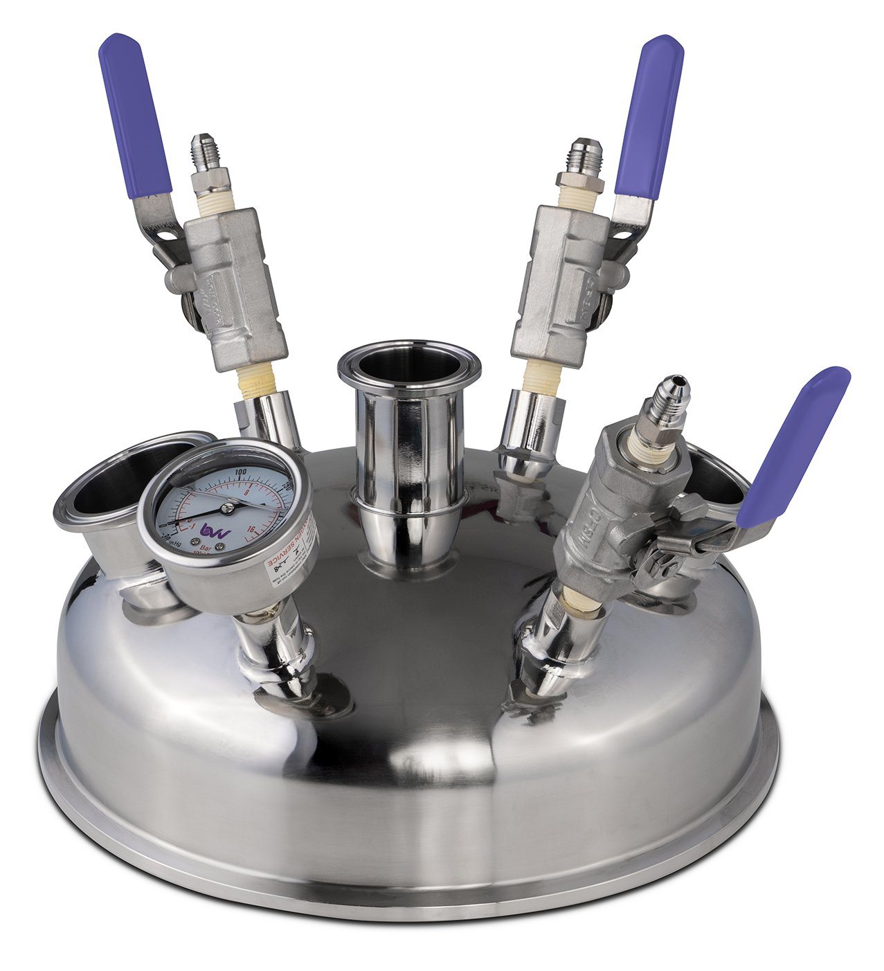 10" Pre-Built BIFLOW Hemispherical Lid with 316SS Full Bore Valves