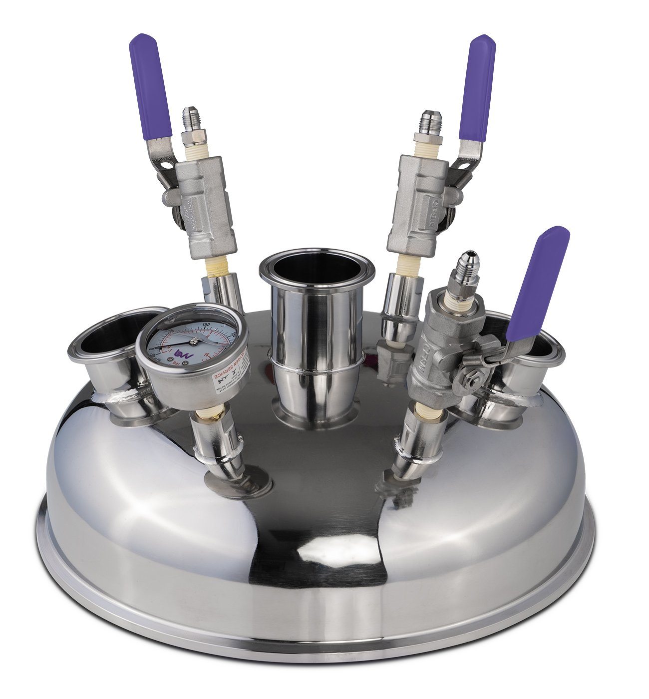 12" Pre-Built BIFLOW Hemispherical Lid with 316SS Full Bore Valves