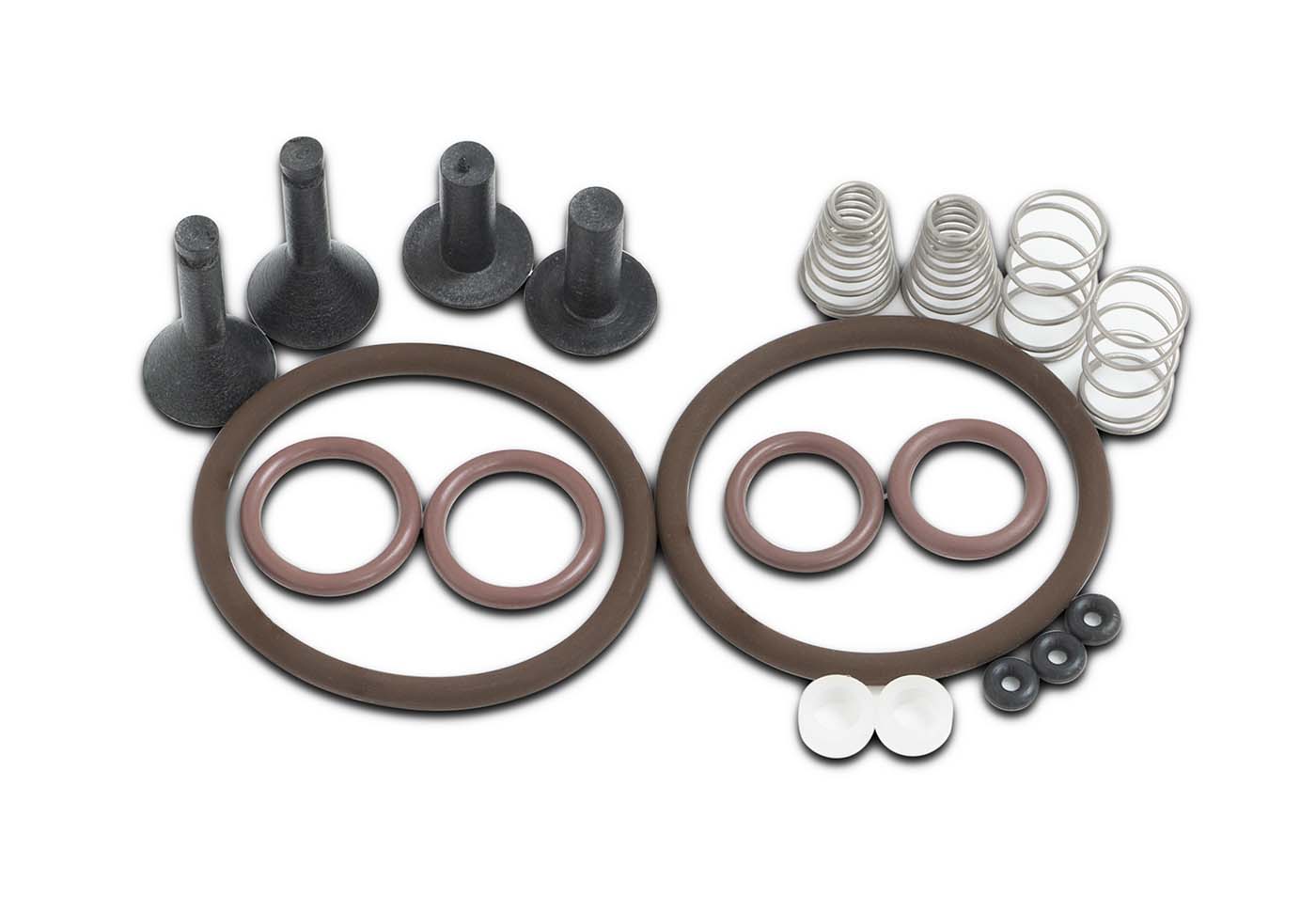 TRS21 & Butane Recovery Pump Valve Rebuild Kit