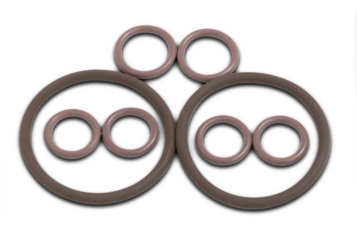 TRS21 Valve Head Complete Viton O-ring Kit