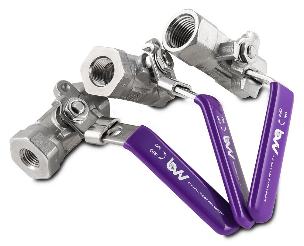 316SS FNPT Full Bore Ball Valve -40F to 450F