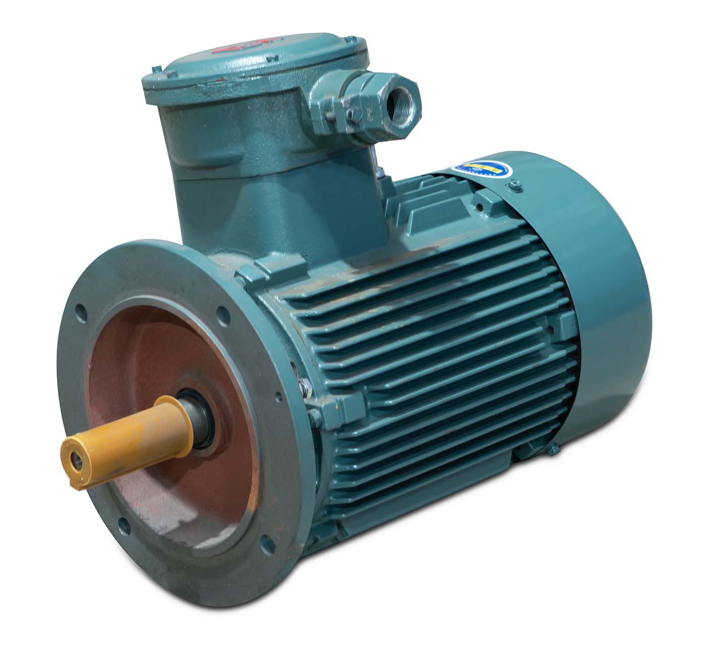 Replacement Centrifuge EX Motors