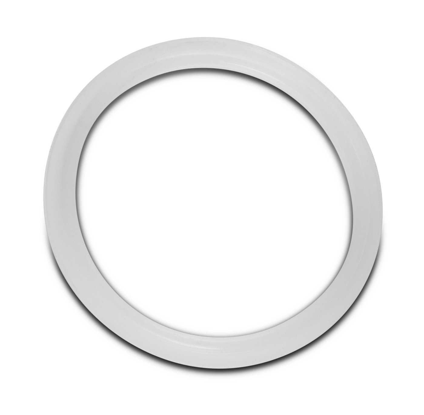 Replacement Gasket for Dutch Weave Sintered Filter Disks - Silicone