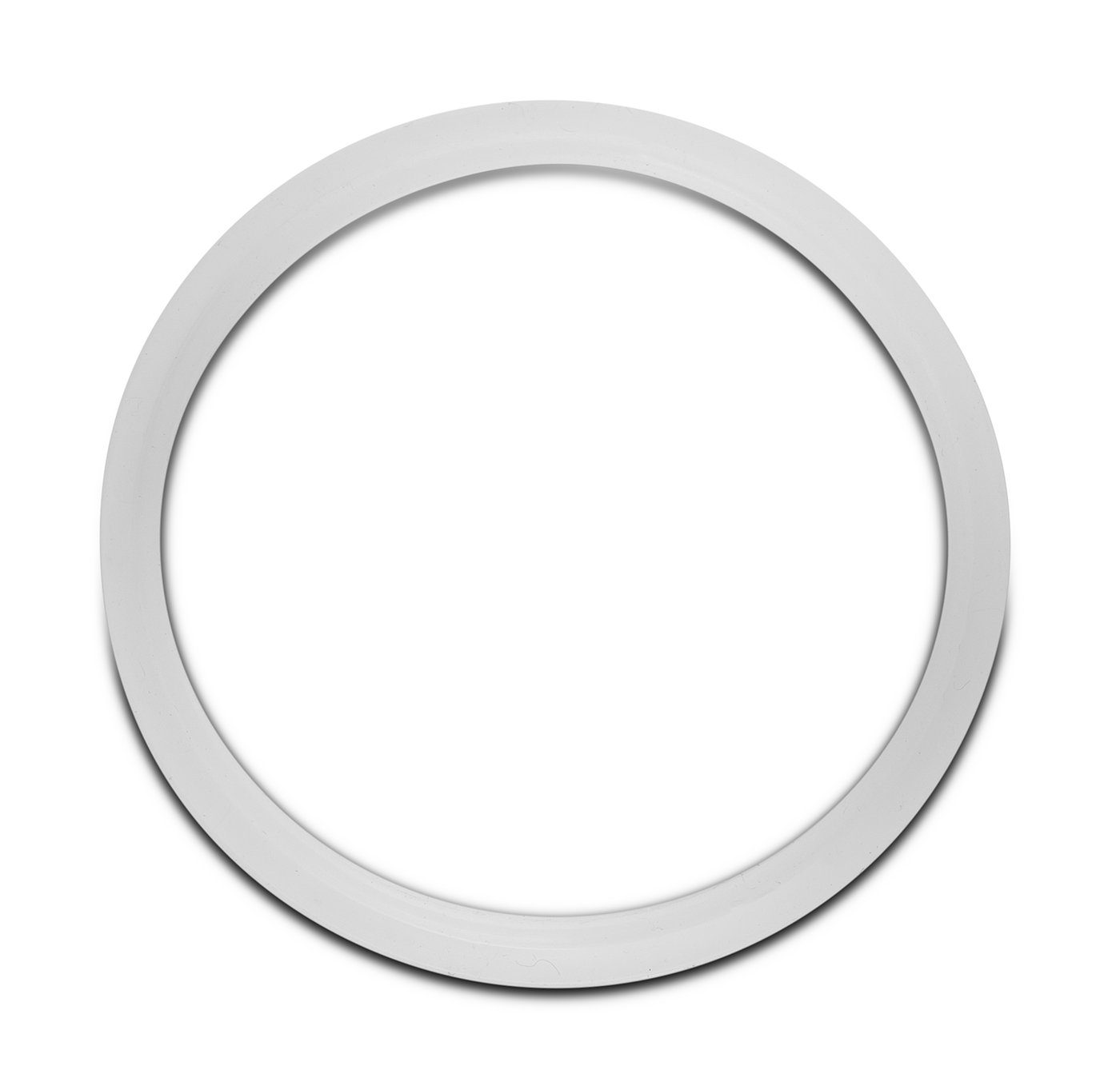 Replacement Gasket for Dutch Weave Sintered Filter Disks - Silicone