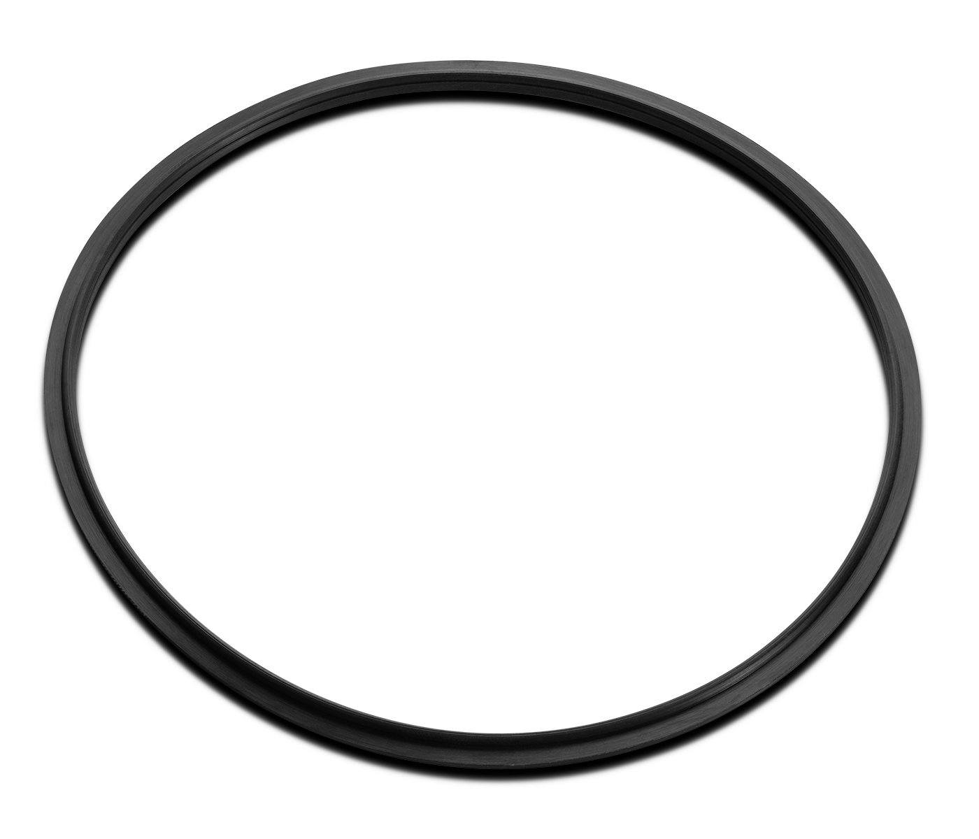 Replacement Gasket for Dutch Weave Sintered Filter Disks - Buna-N