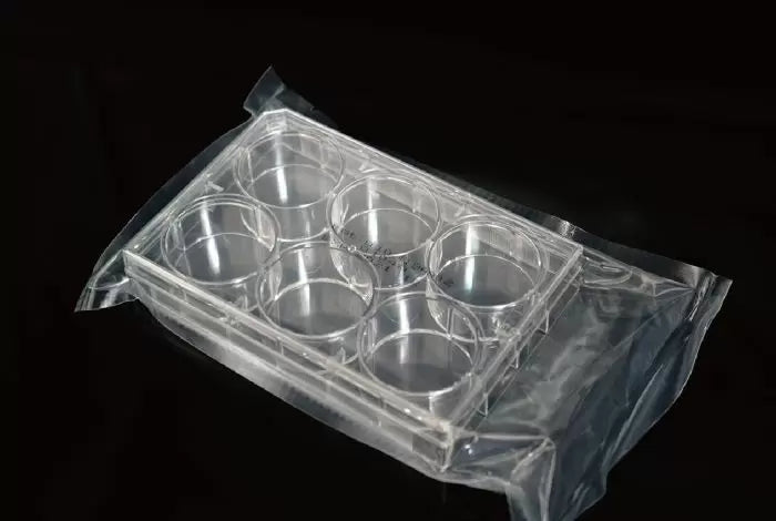 Nest Cell Culture Plates Individually plastic wrapped