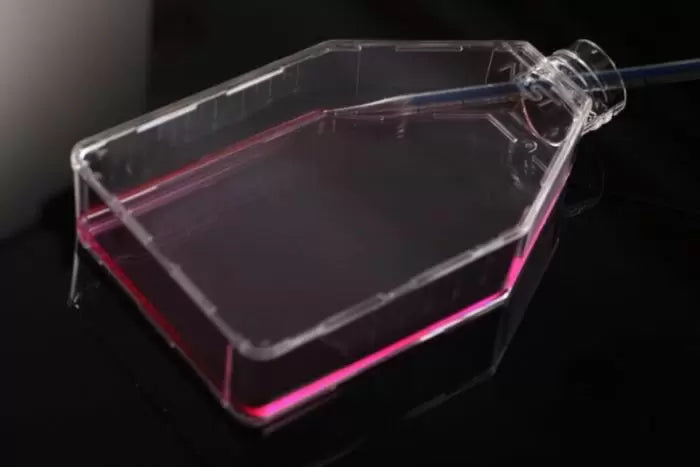 NEST Cell Culture New T150 Flask