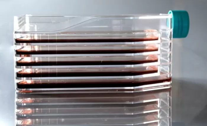 NEST Multi-layer cell culture flasks