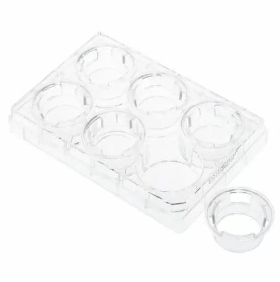 NEST Cell Culture Inserts, Tissue Culture Treated, PC Memberane
