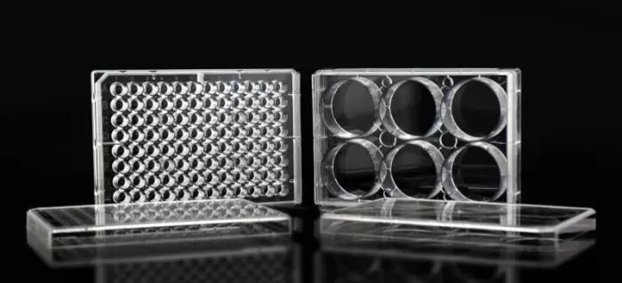 NEST Cell Culture Plates - Premium packaging, Invidually Wrapped in Peelable Tyvek Films and Blisters