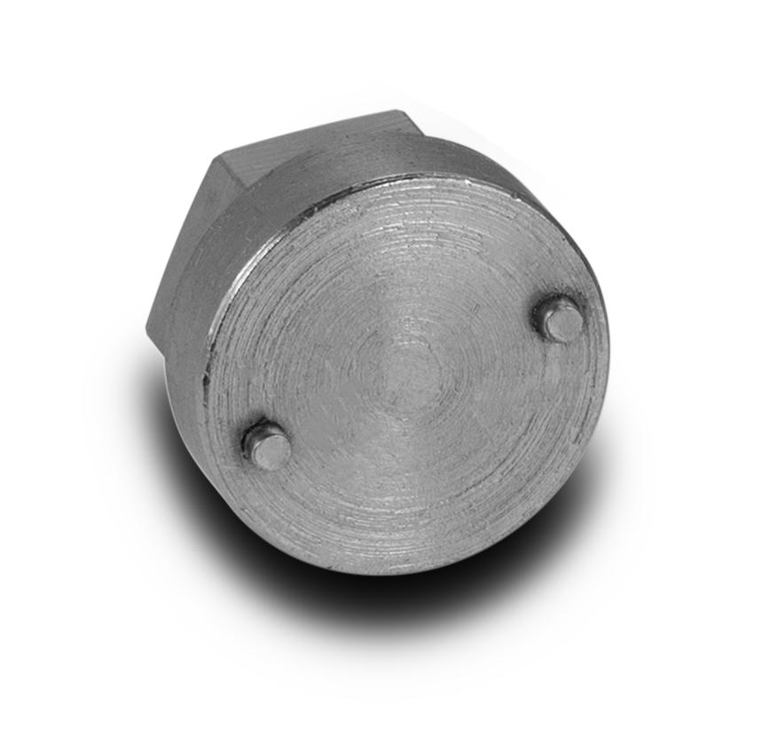 TRS21 2 Piece Piston Tool