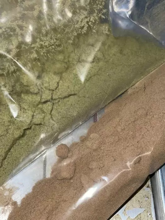 Separatore Tribostatico Cold Plasma Electrostatic Trichome Separation System for Botanical Biomass