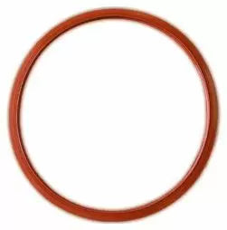 High Temperature Door Sealing Gasket for FO Series Drying Ovens
