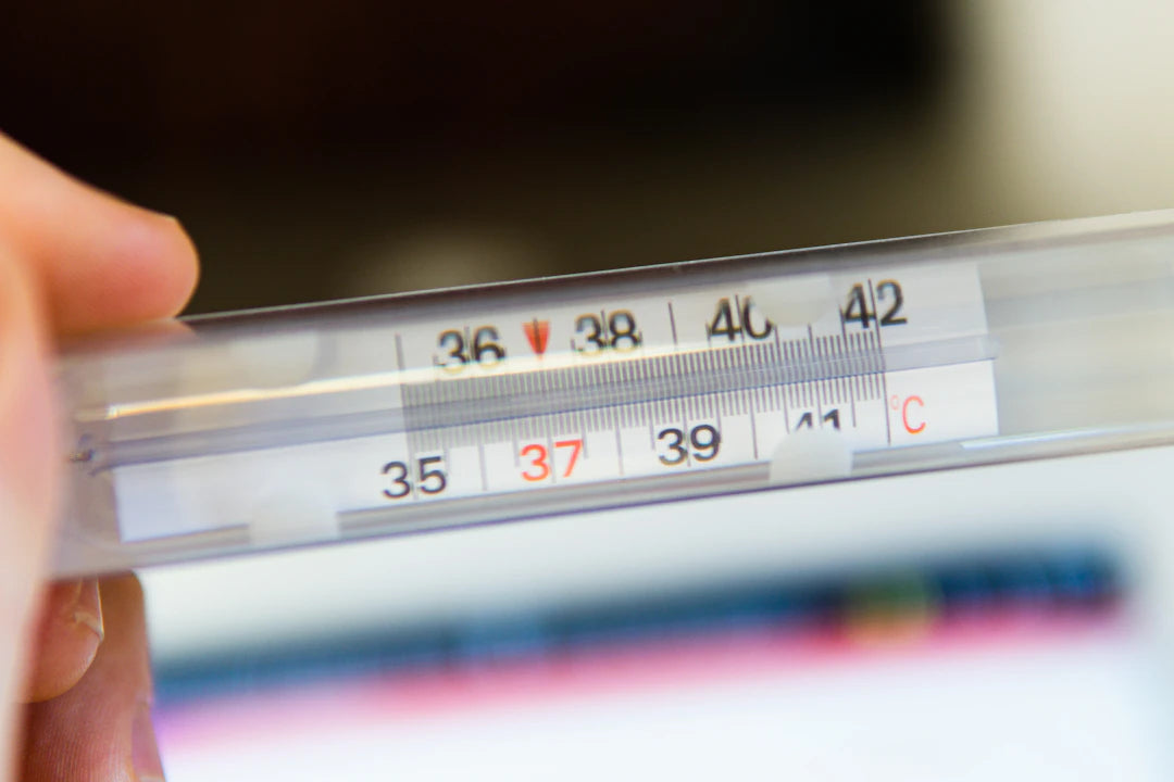 Precision Temperature Dataloggers for Botanical Applications