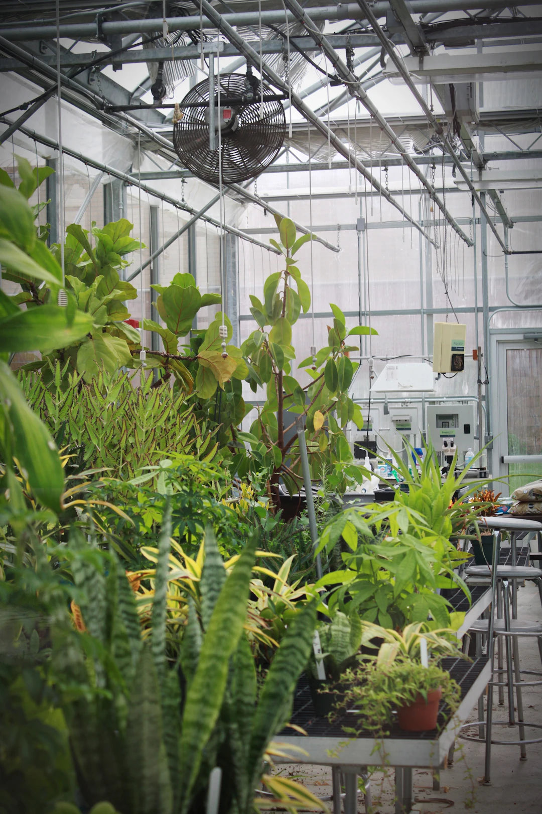 The Future of Botanical Research Biotech Applications Unveiled