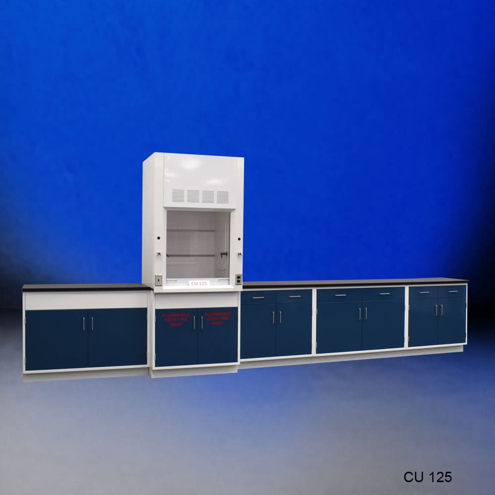 3′ Fisher American Fume Hood w/ 14′ Laboratory Cabinets & Flammable Storage
