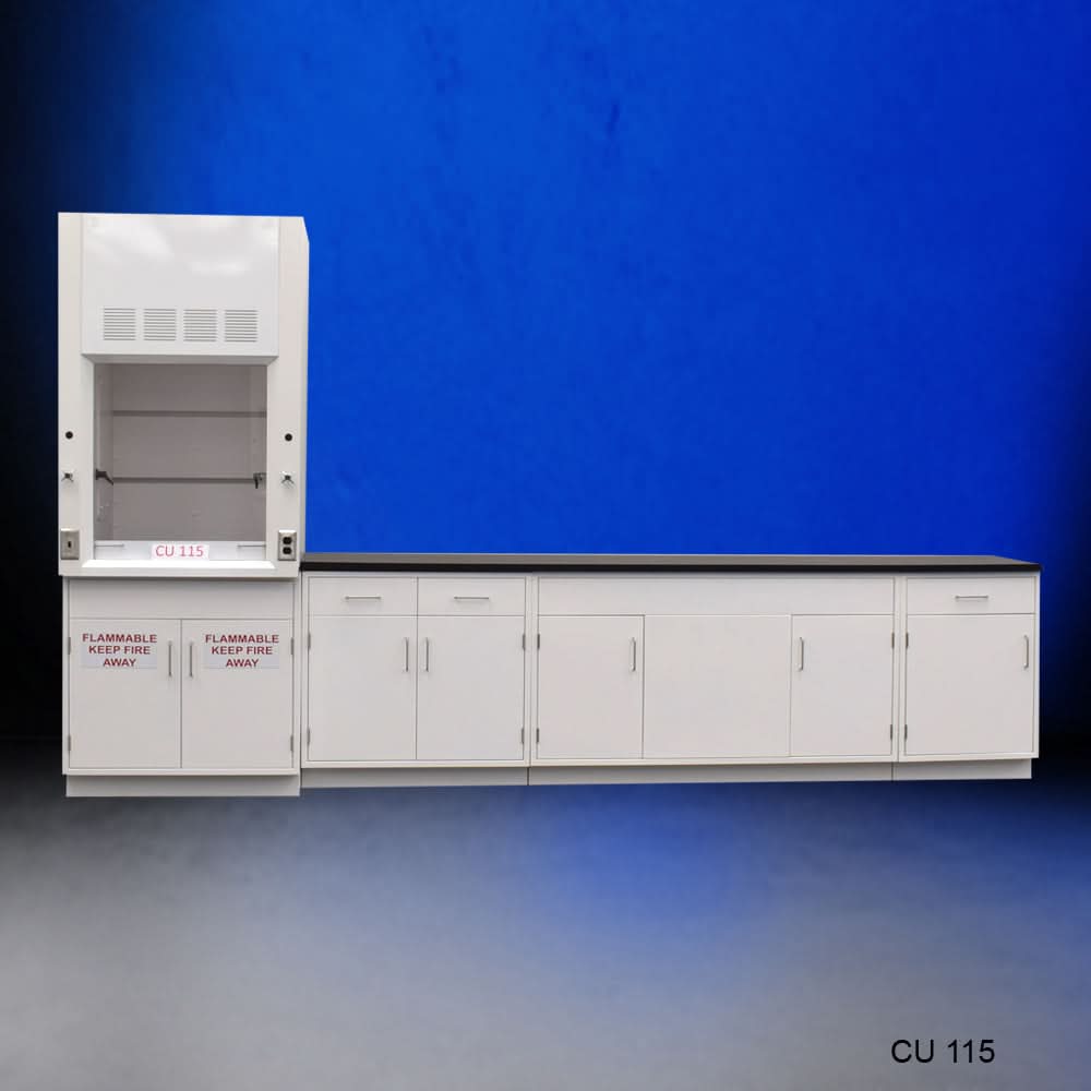 3′ Fisher American Fume Hood w/ 10′ Cabinets