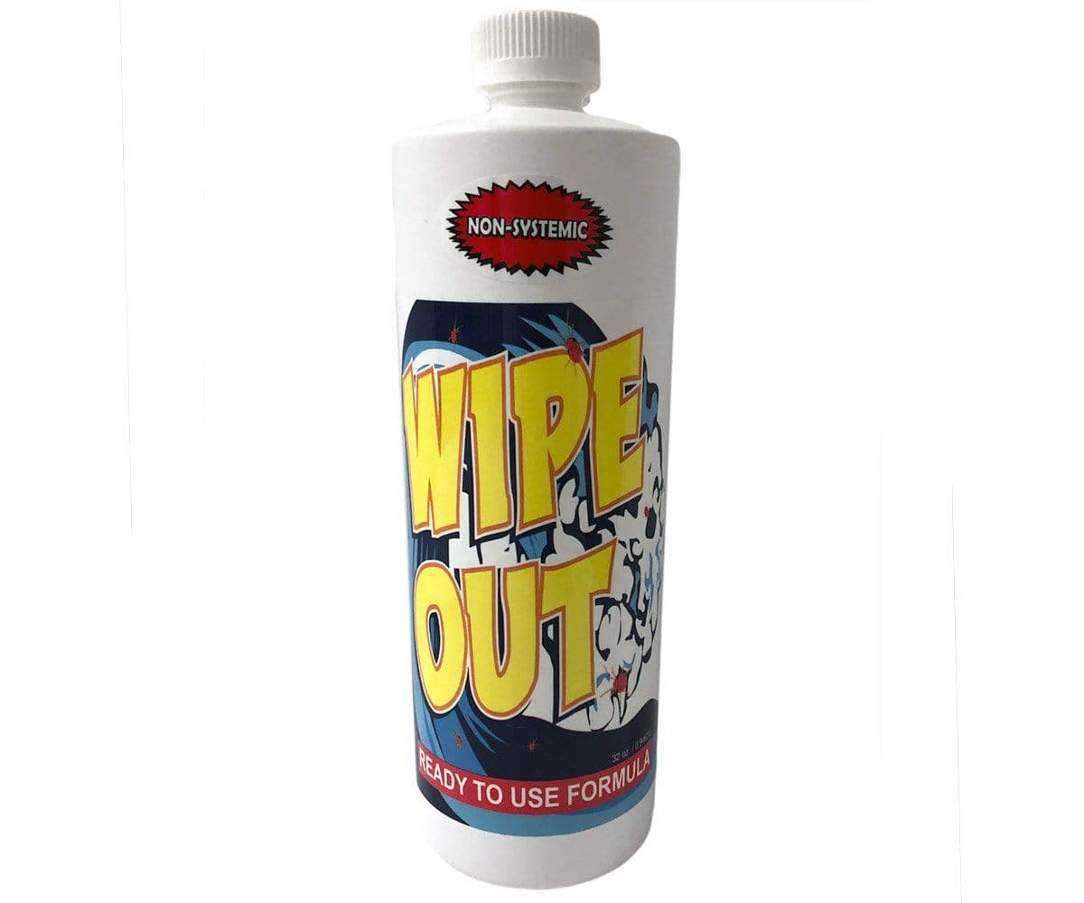 Wipe Out