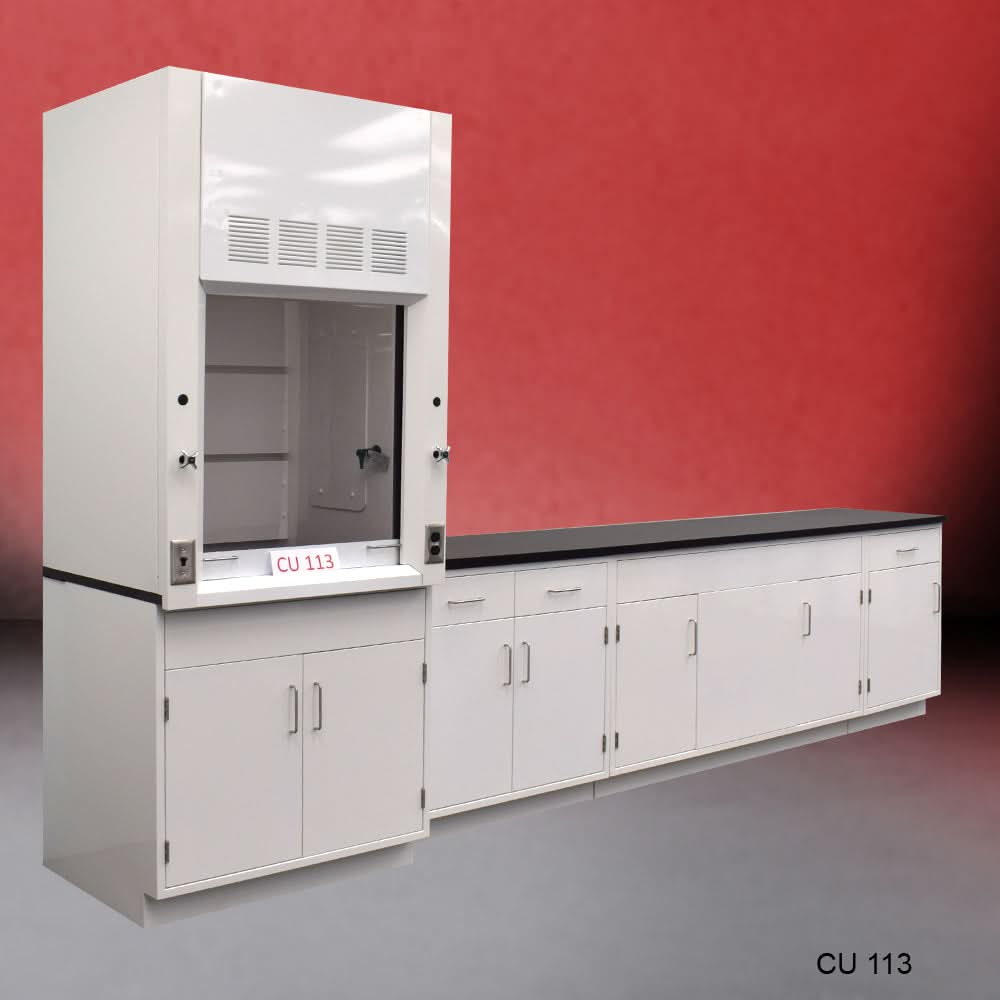 3′ Fisher American Fume Hood w/ 10′ Cabinets & General Storage