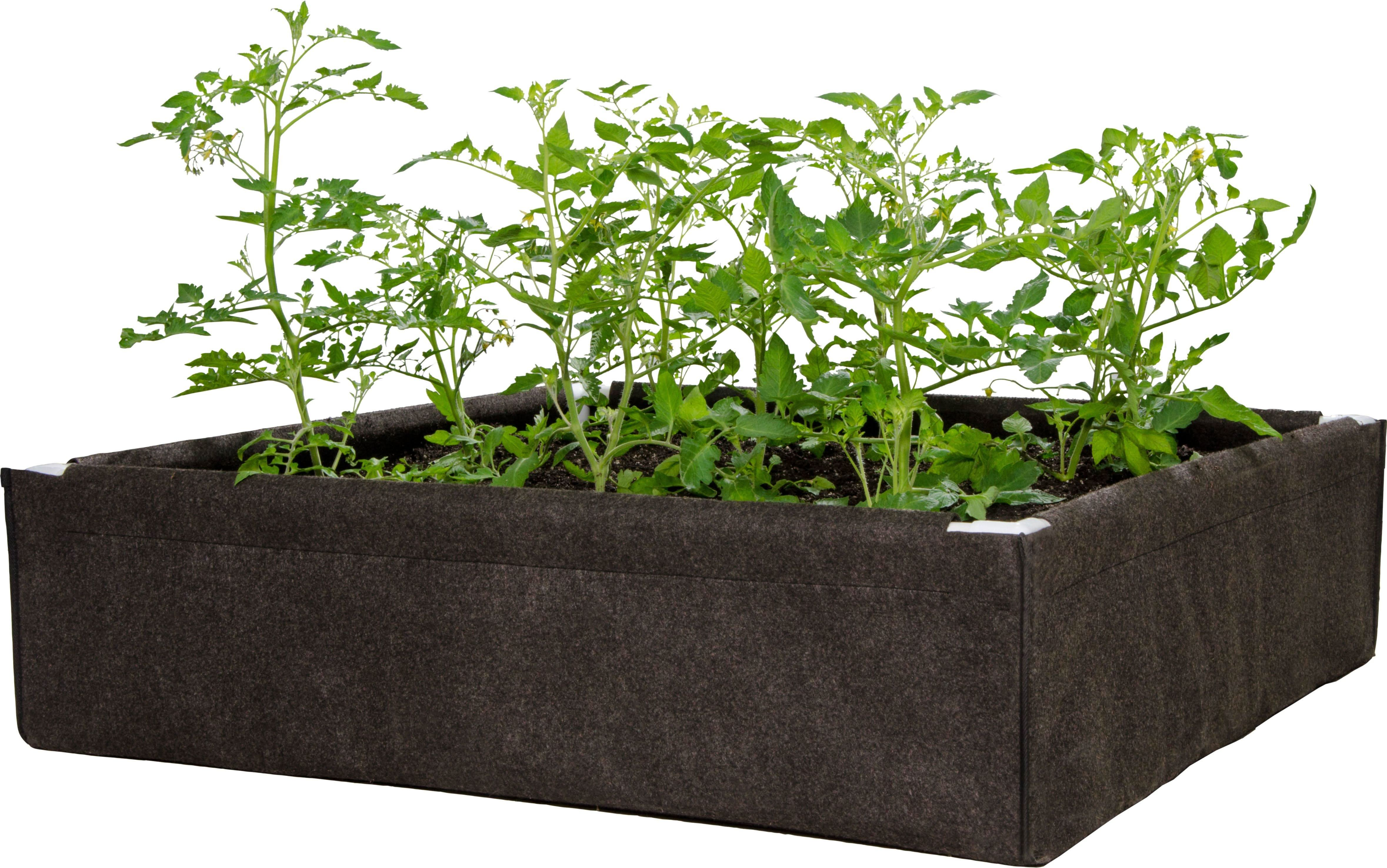 Hydrofarm Dirt Pot Box, 4' x 4' Raised Bed