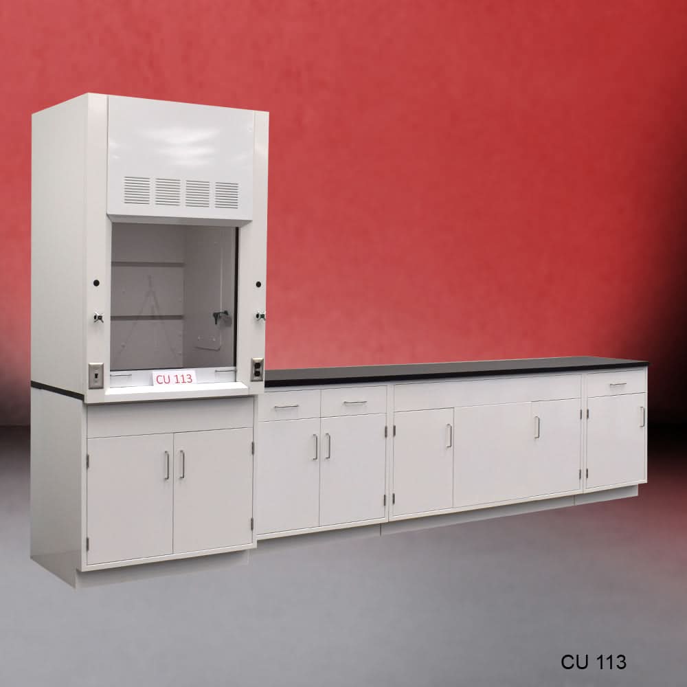 3′ Fisher American Fume Hood w/ 10′ Cabinets & General Storage