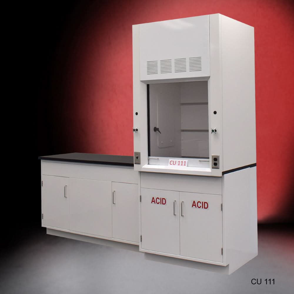 3′ Fisher American Fume Hood w/ 5′ Cabinets & Acid & General Storage