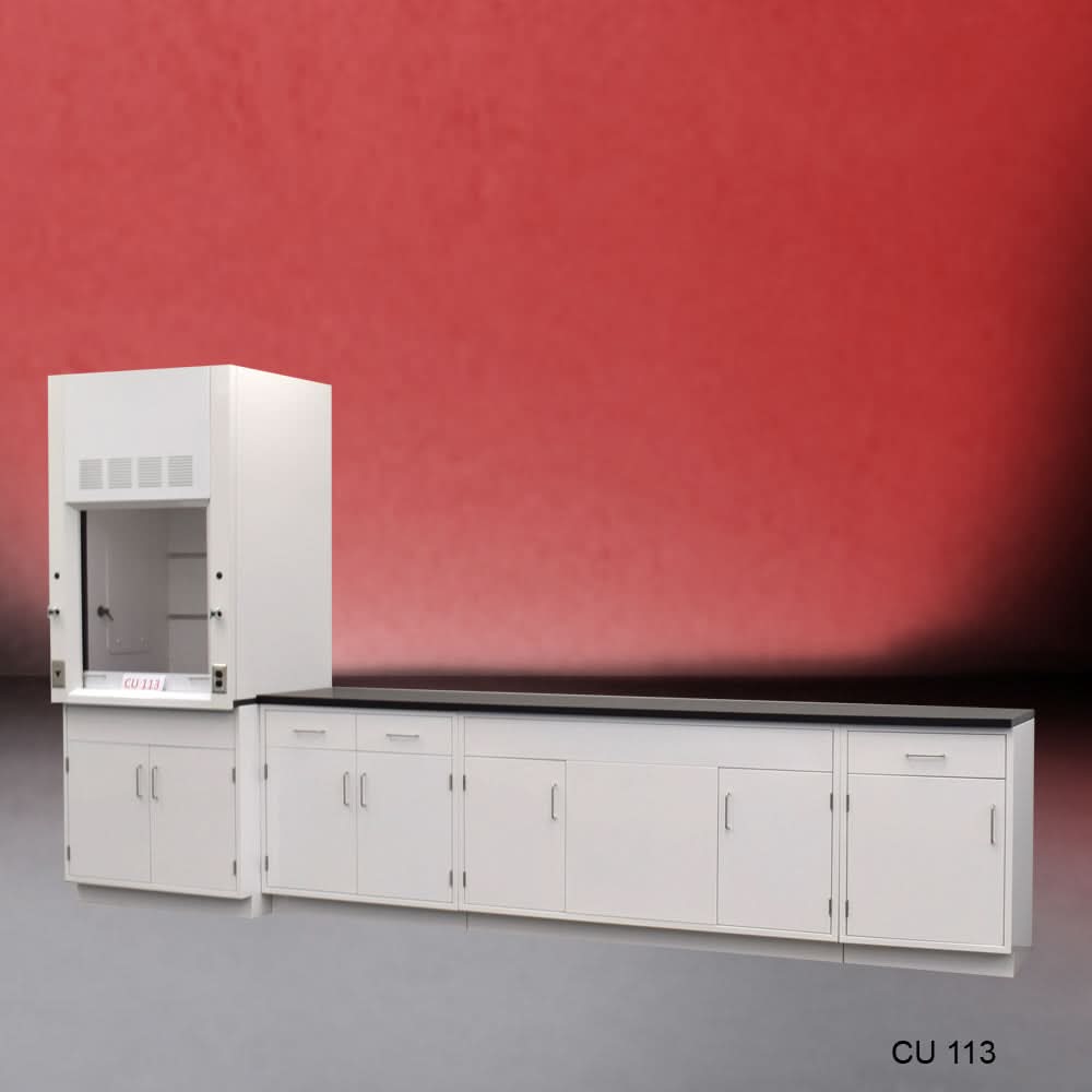 3′ Fisher American Fume Hood w/ 10′ Cabinets & General Storage