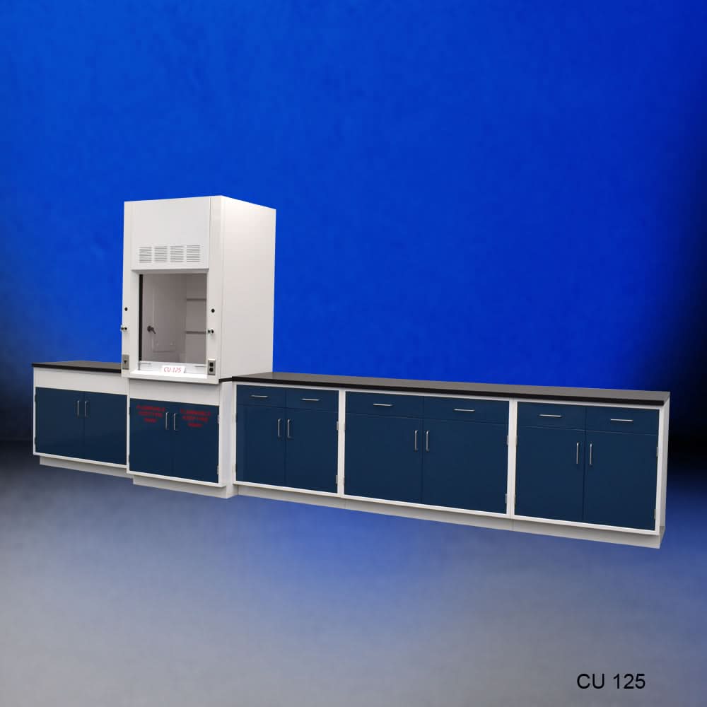 3′ Fisher American Fume Hood w/ 14′ Laboratory Cabinets & Flammable Storage