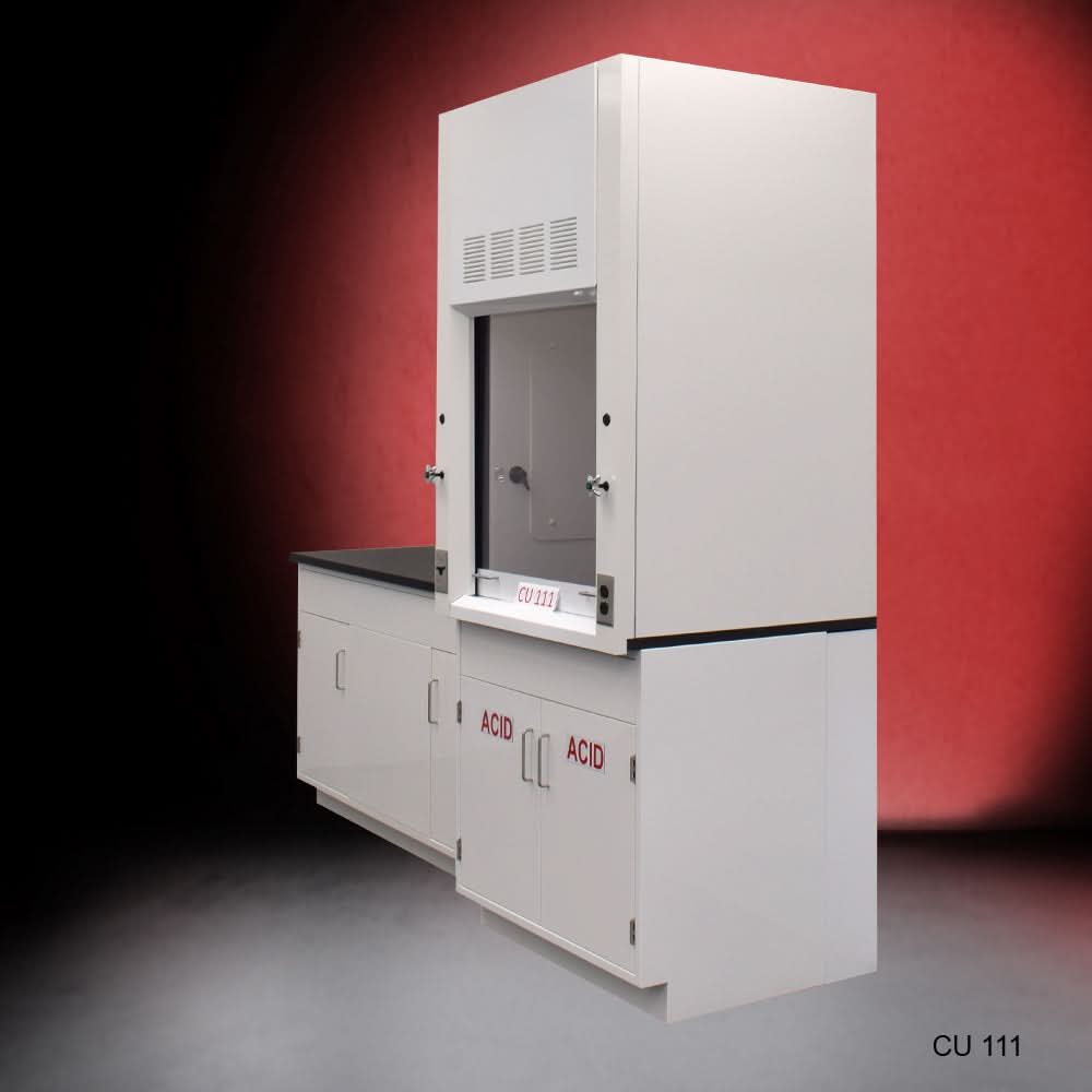 3′ Fisher American Fume Hood w/ 5′ Cabinets & Acid & General Storage