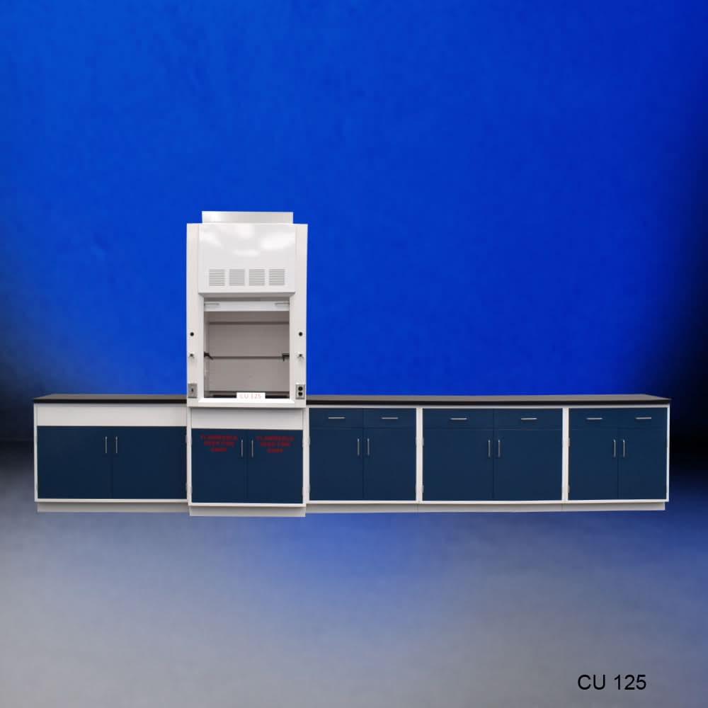 3′ Fisher American Fume Hood w/ 14′ Laboratory Cabinets & Flammable Storage