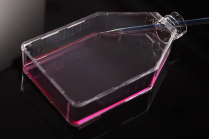 NEST Cell Culture Flasks